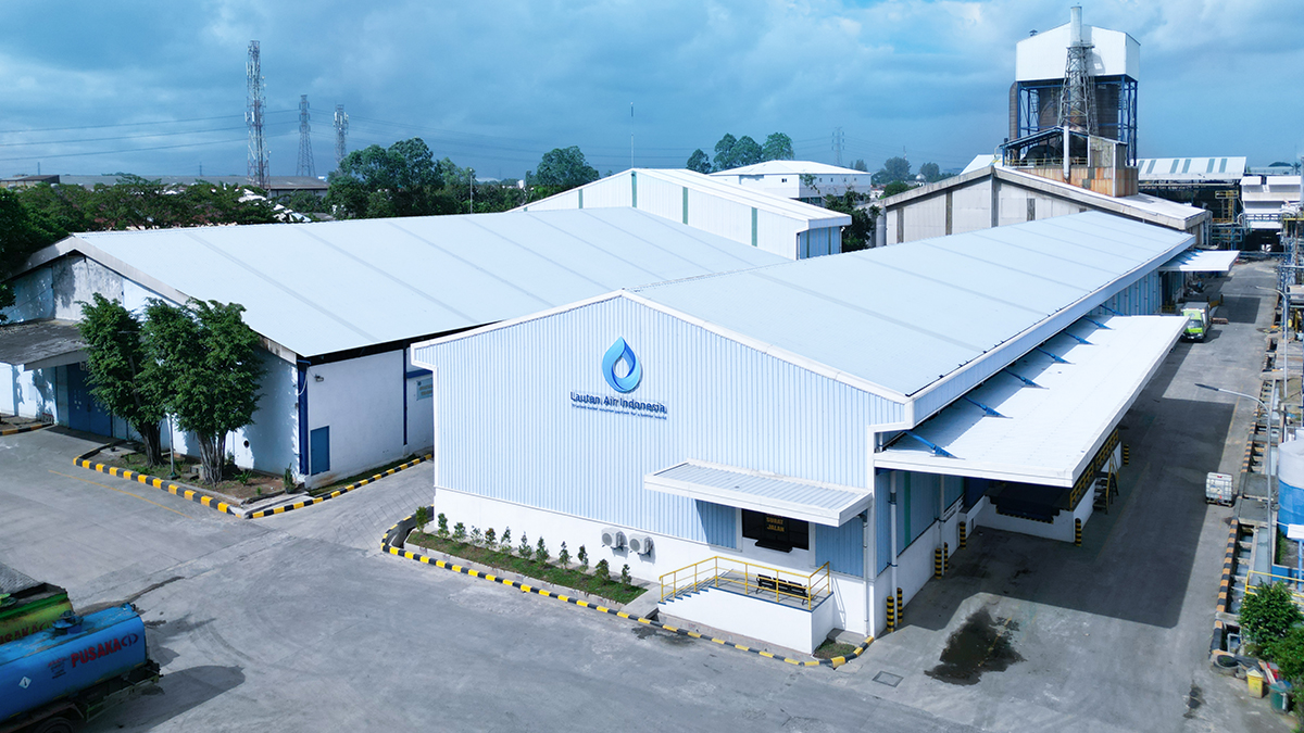 LAI Plant