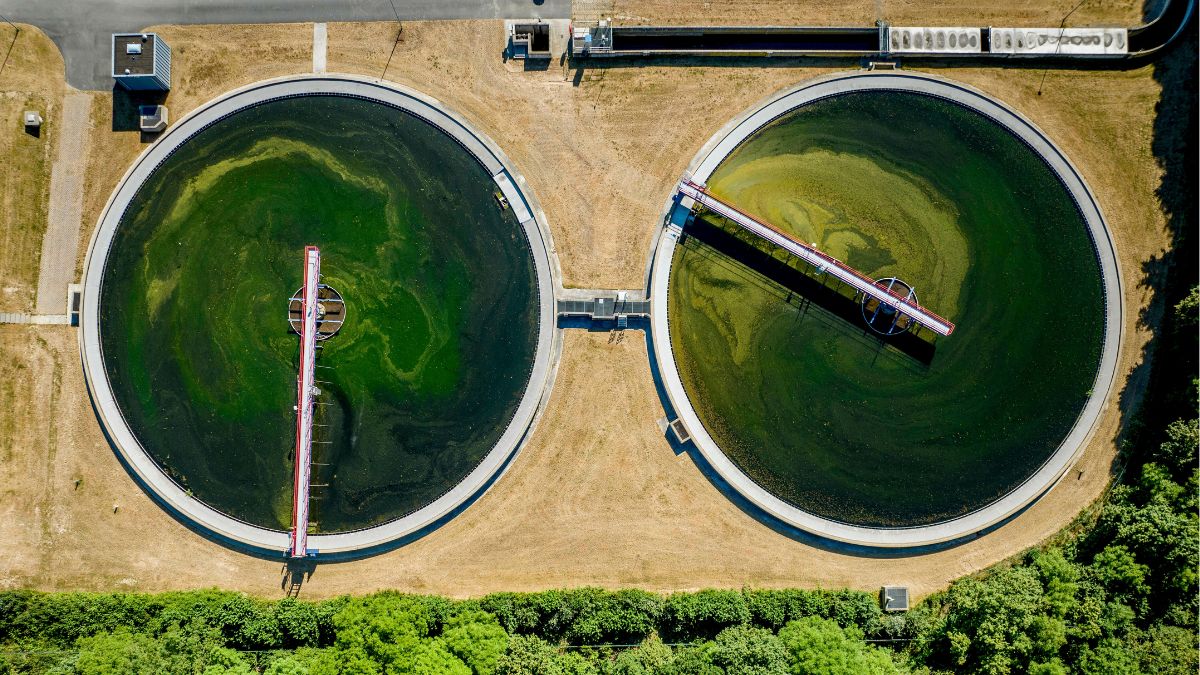Microorganisms in Wastewater Treatment