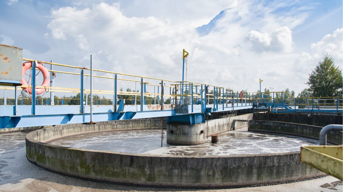 Phosphorus Removal