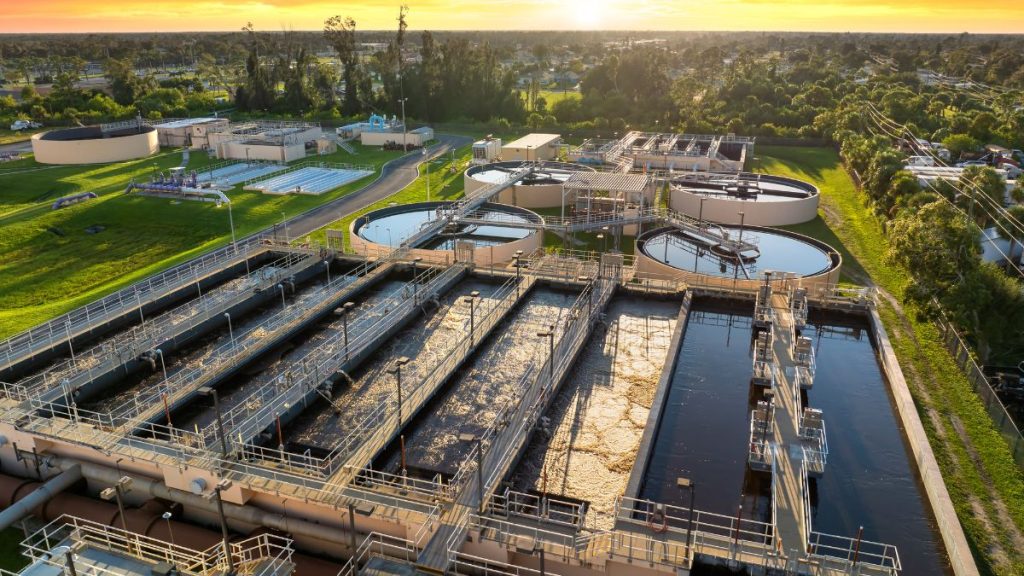 sludge dewatering