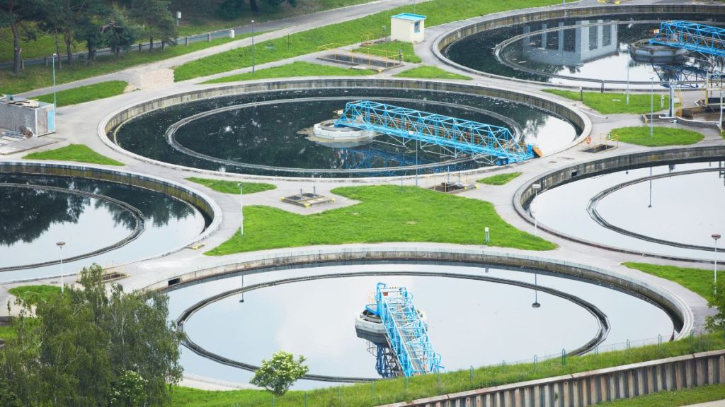 high dissolved oxygen