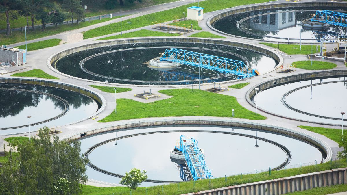 high dissolved oxygen