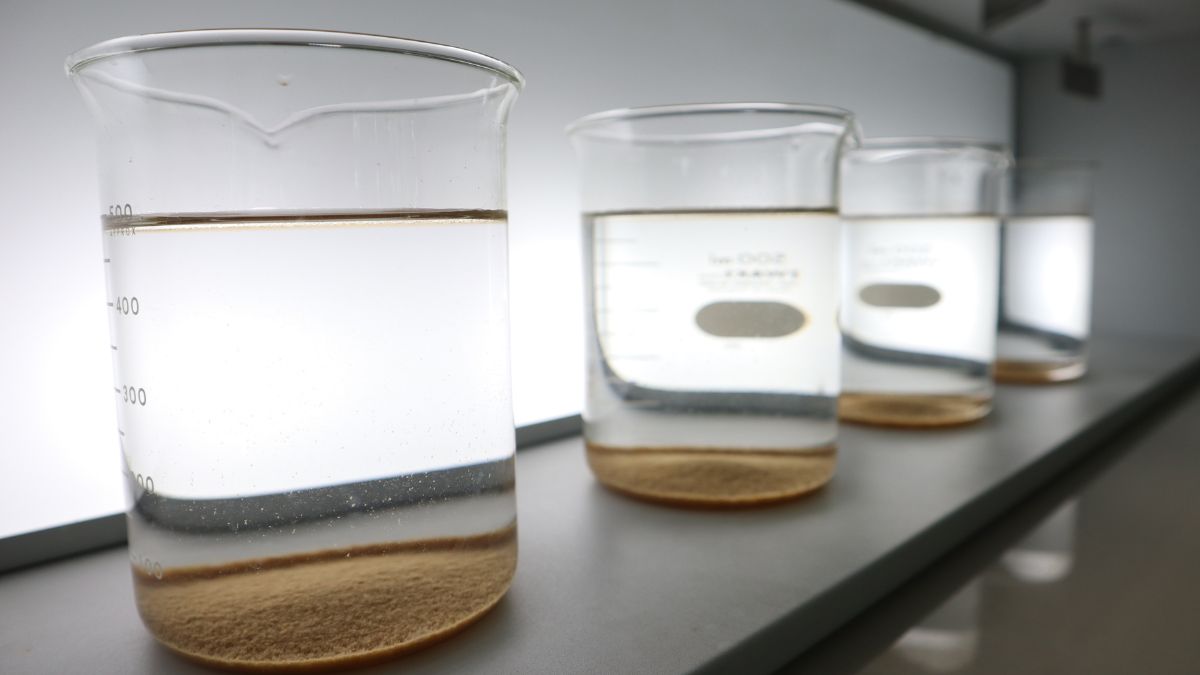 inorganic vs organic coagulant