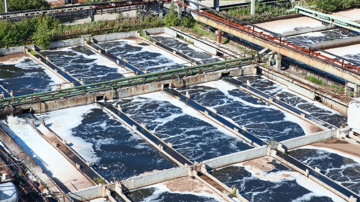 biological nutrient removal